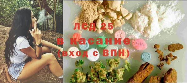 ПСИЛОЦИБИНОВЫЕ ГРИБЫ Волосово