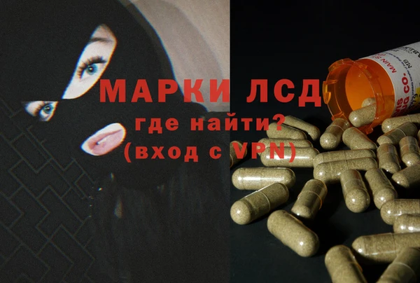 ПСИЛОЦИБИНОВЫЕ ГРИБЫ Волосово