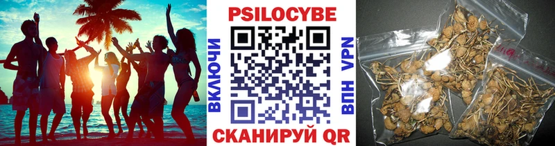 Купить  Покачи  Галлюциногенные грибы прущие грибы 