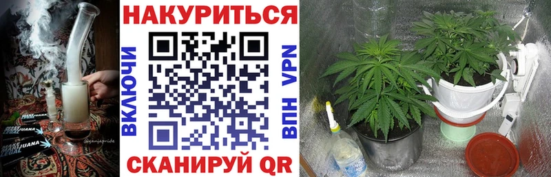 Бошки Шишки OG Kush  Купить  Покачи 
